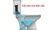 Cấu tạo của bồn cầu bệt và bồn cầu ngồi xổm bạn nên biết