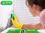 Nấm mốc là gì? Mẹo ngăn ngừa nấm mốc đơn giản, hiệu quả
