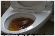 Cách thông bồn cầu nghẹt hiệu quả nhất bằng đá lạnh