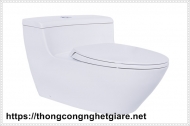 Tổng hợp các cách thông bồn cầu nhanh nhất