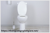 Cách xử lý hầm cầu bị đầy nước trong tích tắc!