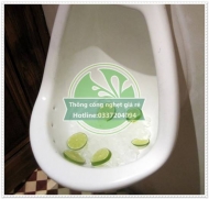 Phương pháp khử mùi hôi toilet hiệu quả