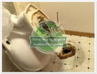 Nguyên nhân bồn cầu bị nghẹt và cách thông bồn cầu hiệu quả