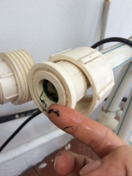 Cách làm sạch rêu trong đường ống nước tại nhà