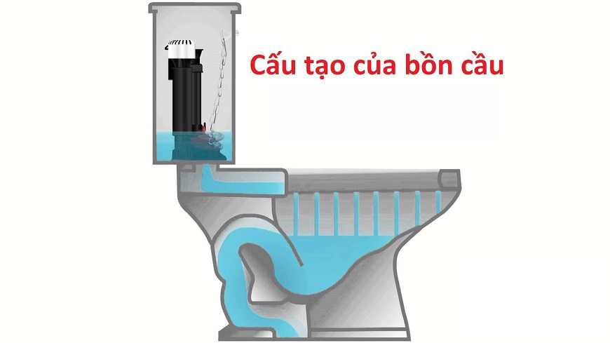 Cấu tạo bồn cầu.