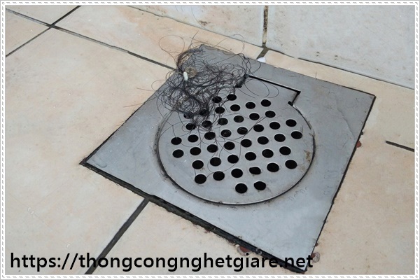 c&aacute;ch trị h&ocirc;i cống nh&agrave; vệ sinh hiệu quả