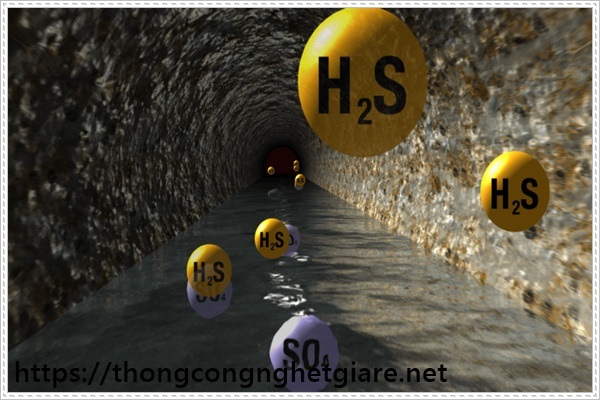 Những ảnh hưởng ti&ecirc;u cực nếu kh&ocirc;ng c&oacute; c&aacute;ch trị h&ocirc;i cống nh&agrave; vệ sinh hiệu quả