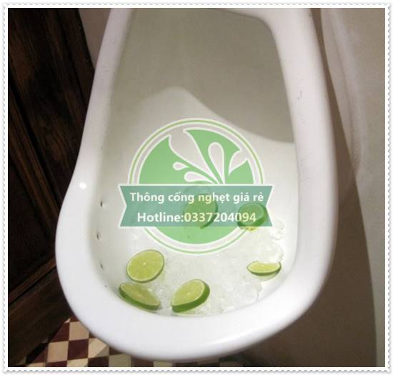 D&ugrave;ng đ&aacute; vi&ecirc;n để khử m&ugrave;i h&ocirc;i toilet