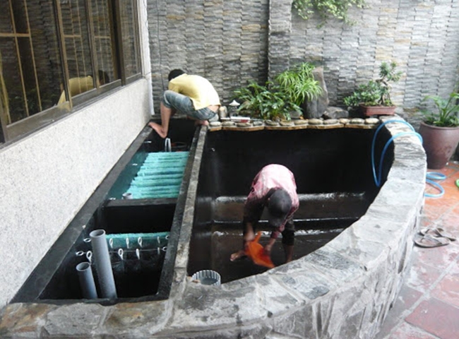Dịch vụ vệ sinh hồ c&aacute; tại TPHCM uy t&iacute;n